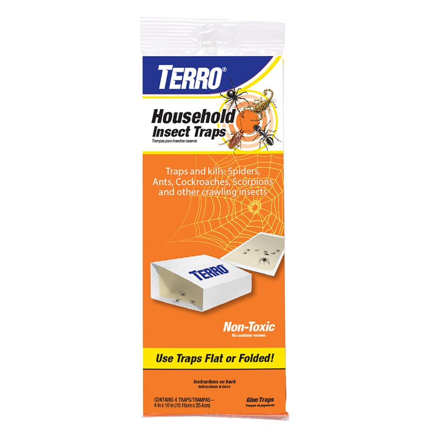 TERRO 4-Count Household Insect Traps at Lowes.com