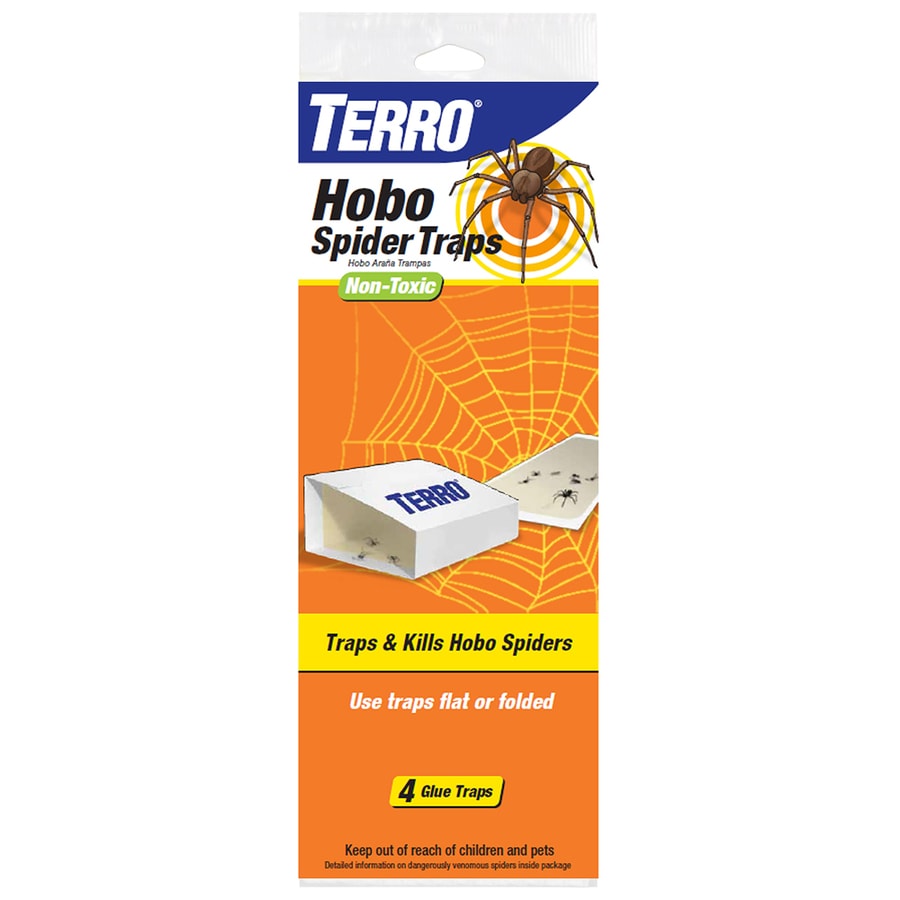 TERRO 4 Count Hobo Spider Glue Traps At Lowes Com   070923222933 