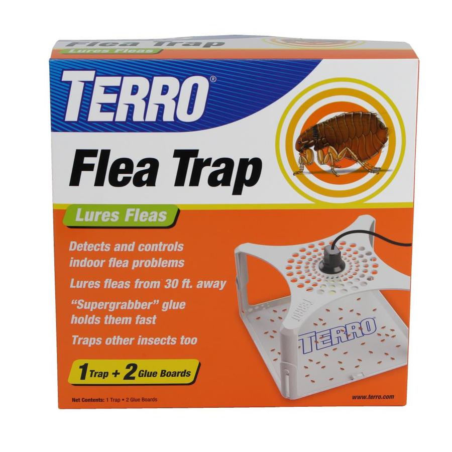 TERRO Indoor Insect Trap (3 Pack) in the Insect Traps department at