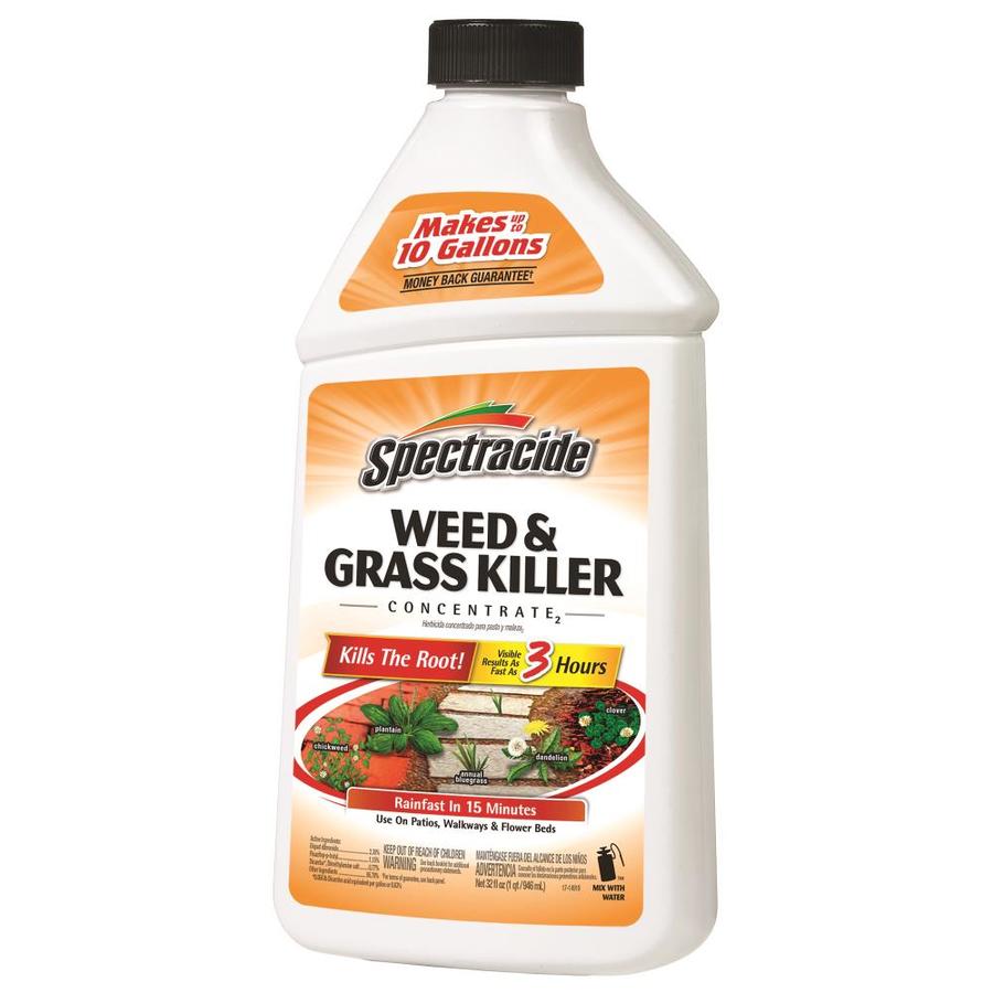 Spectracide 32 Fl Oz Concentrated Weed And Grass Killer In The Weed