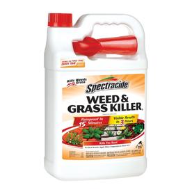 UPC 071121960177 product image for Spectracide Ready-to-Use 1 gal Weed and Grass Killer (Ready-To-Use) | upcitemdb.com