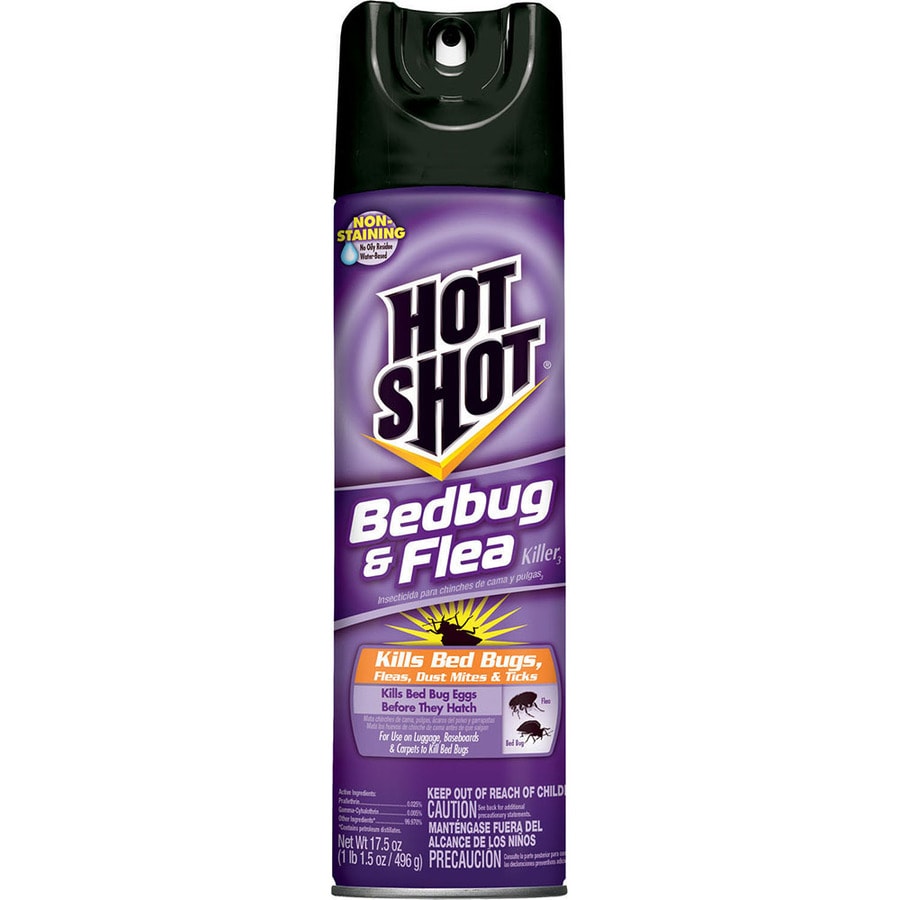 Hot Shot Bedbug and Flea 17.5-oz Insect Killer at Lowes.com