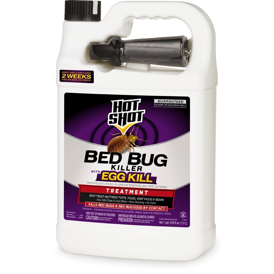 Hot Shot 1-Gallon Bed Bug Killer at Lowes.com