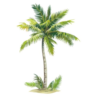 Wallies Palm Tree Mural At Lowes Wallies Palm Tree Mural At Lowes
