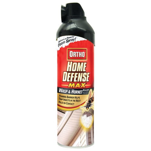 ORTHO Home Defense Max Wasp & Hornet Killer at Lowes.com