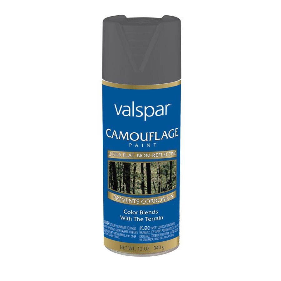 Valspar Black Outdoor Spray Paint at