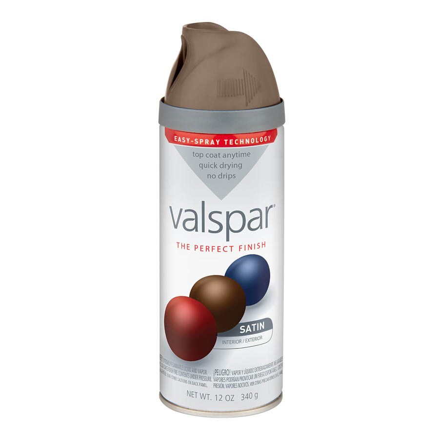 Valspar 12-oz Bronze Spray Paint at