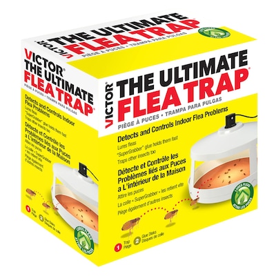 Victor Insect Trap At Lowes Com