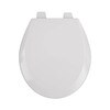 Shop Bemis Pro Series Wood Toilet Seat at Lowes.com