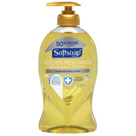 UPC 074182450960 product image for Softsoap 11.25-fl oz Antibacterial Citrus Hand Soap | upcitemdb.com