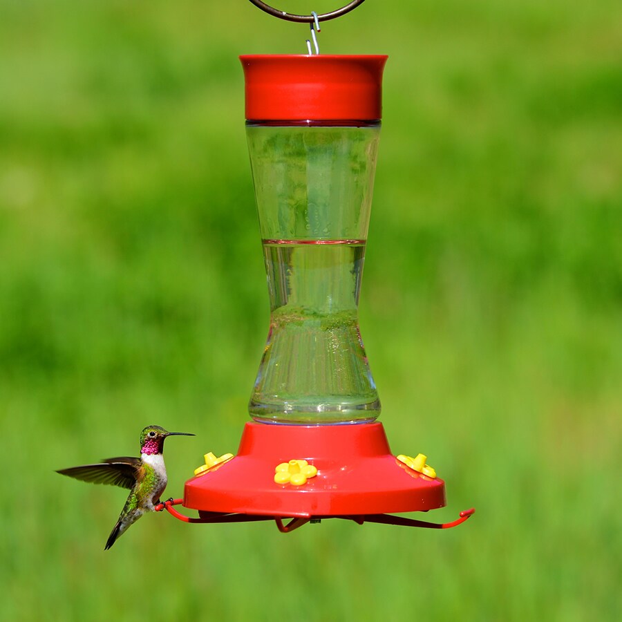 Perky-Pet Pinch-Waist Red Glass Nectar Hummingbird Feeder in the Bird ...