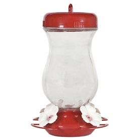 Hummingbird Feeders At Lowesforpros Perky Pet Gl Hummingbird Feeder