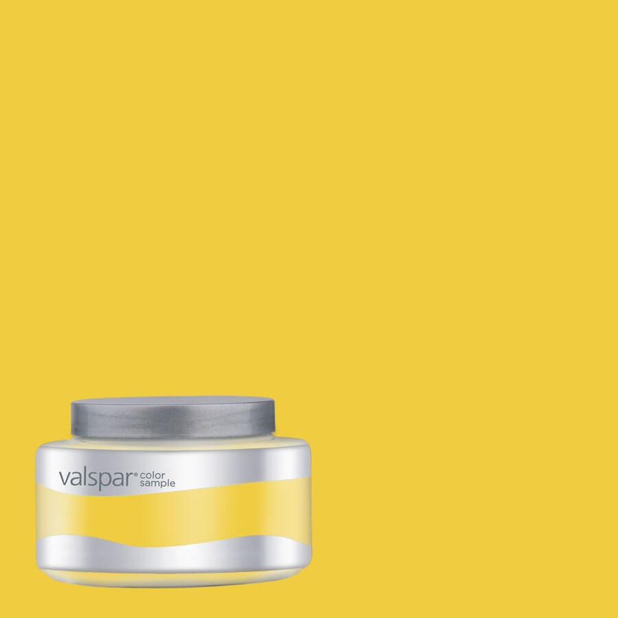 Valspar AR524 SUMMER IN THE 8 Oz. Paint Sample - summer in the city