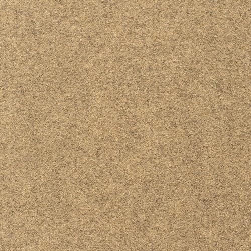 Valdosta 12ft Needlebond Chestnut Interior/Exterior Carpet in the