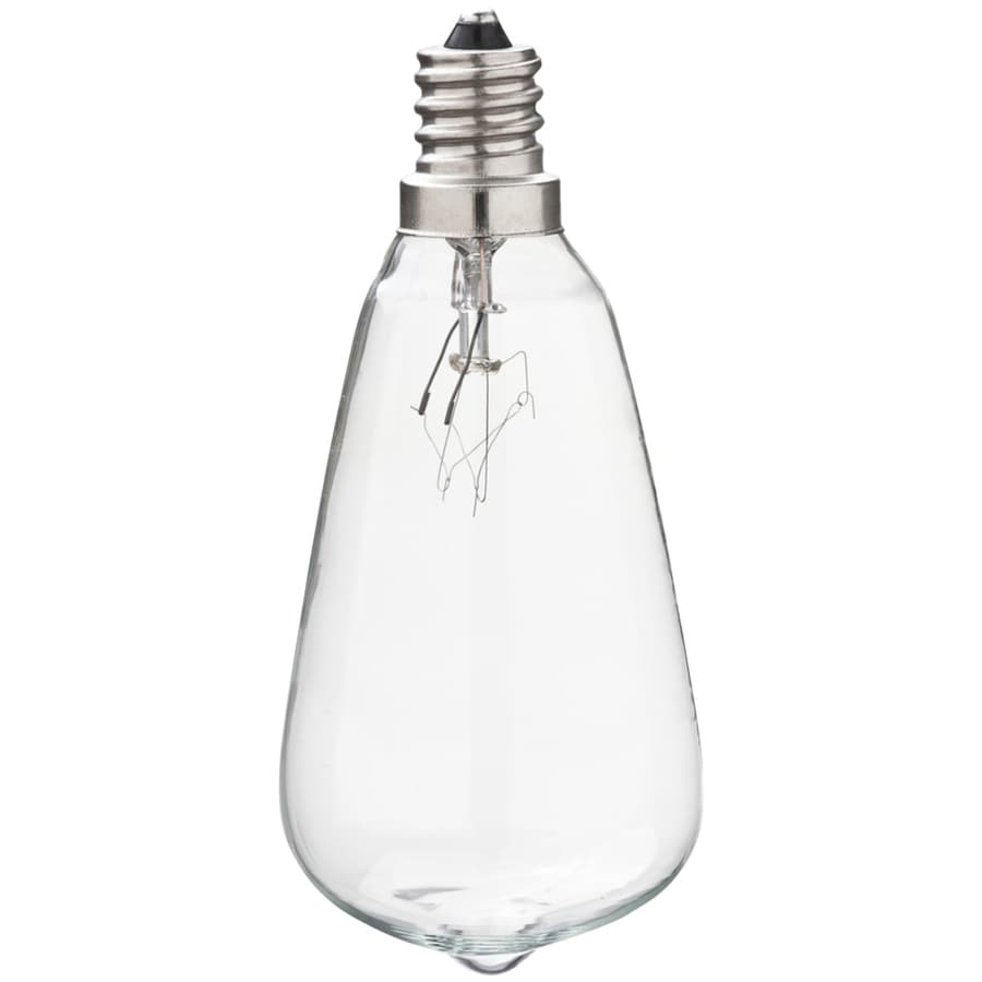 String Light Bulbs Fuses At Com Portfolio White Incandescent Edison String Light Bulbs