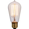 Shop Litex Vintage 60-Watt Dimmable St18 Vintage Decorative ...