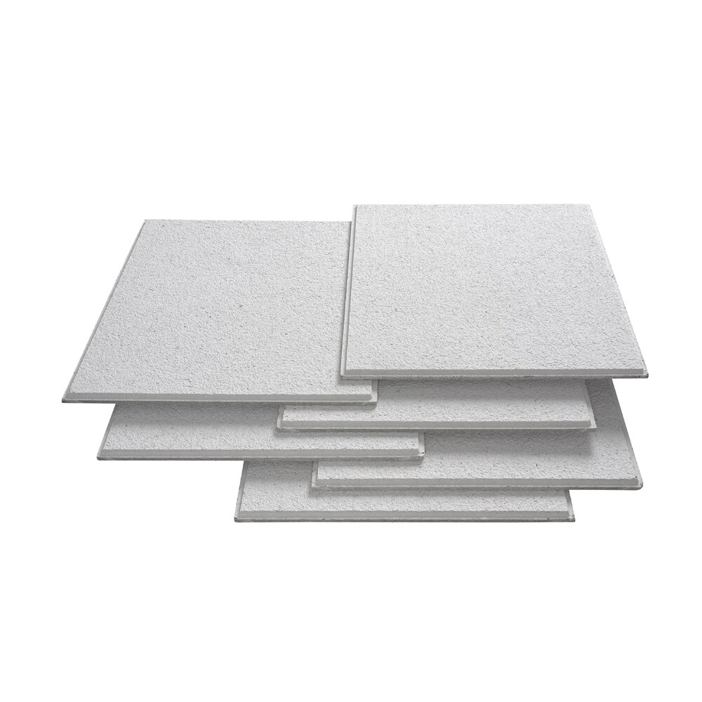 Usg 24 X 24 Luna Chimaplus Ceiling Panels At Lowes Com