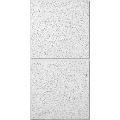 Usg Ceilings Common 48 In X 24 In Actual 47 75 In X 23 75 In 6 Pack White Fissured 3 4 In Drop Acoustic Panel Ceiling Tiles At Lowes Com