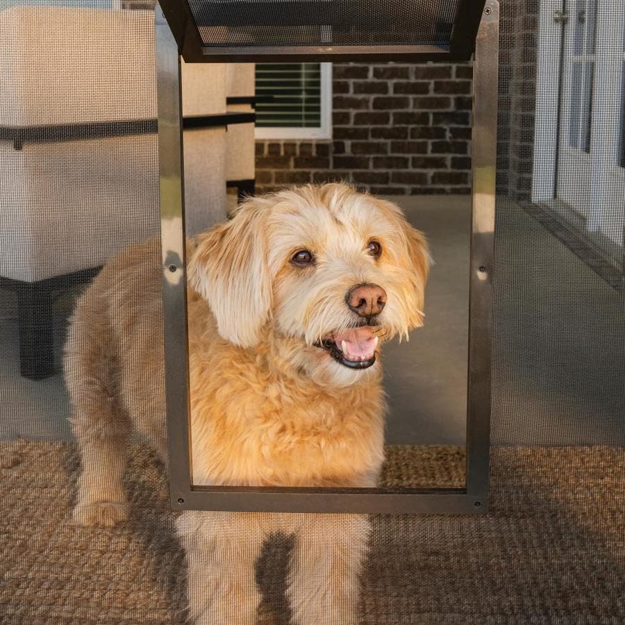 security screens with doggie doors