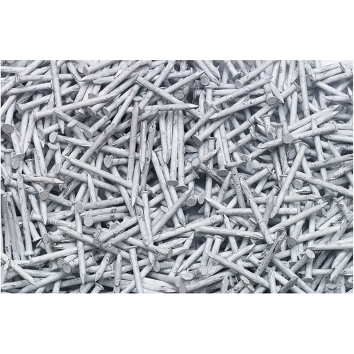 1.25in White Siding Nails in the Siding Nails department at