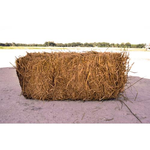 Wheat Straw At Lowes Wheat Straw At Lowes