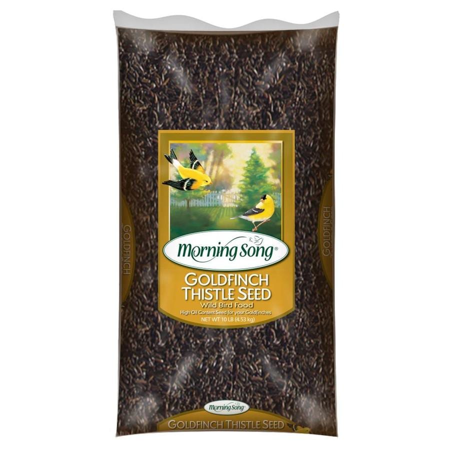 Morning Song Goldfinch Thistle Seed 10lb at