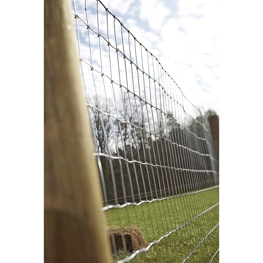 Shop Red Brand (Actual: 100-ft x 4-ft) Field Fence Silver Steel Woven ...