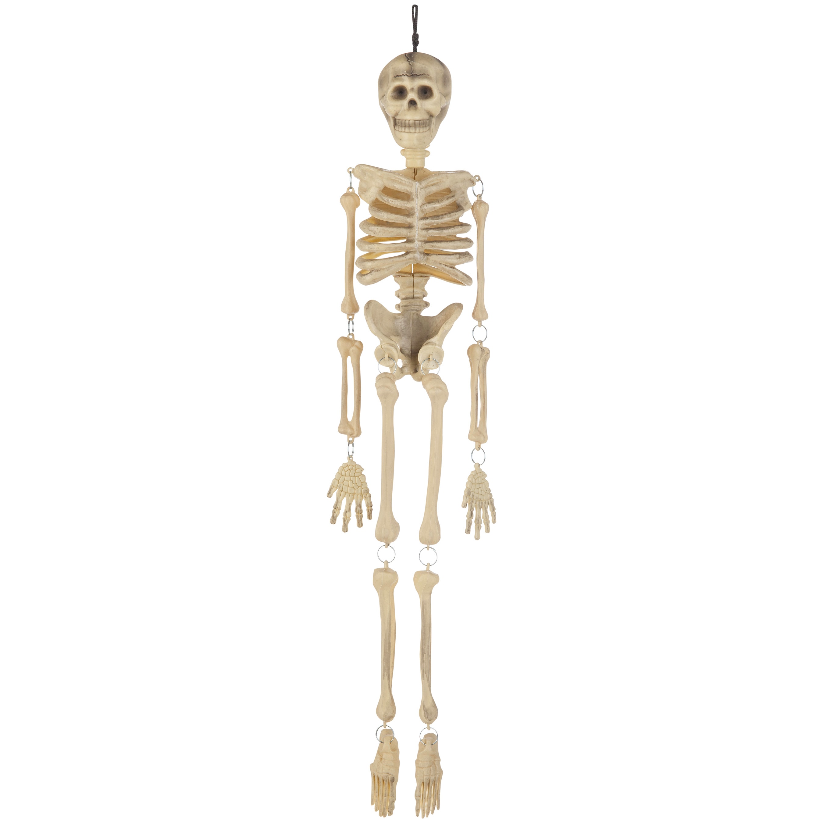 Shop Holiday Living Skeleton at Lowes.com