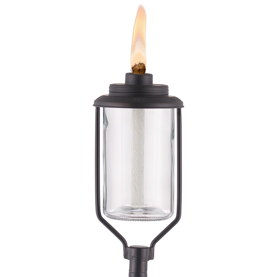 install torch