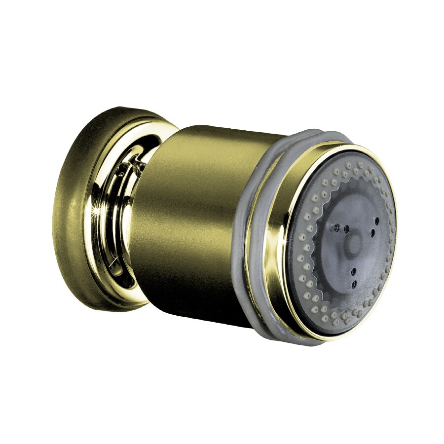 KOHLER MasterShower Vibrant French GoldSpray Shower Head at