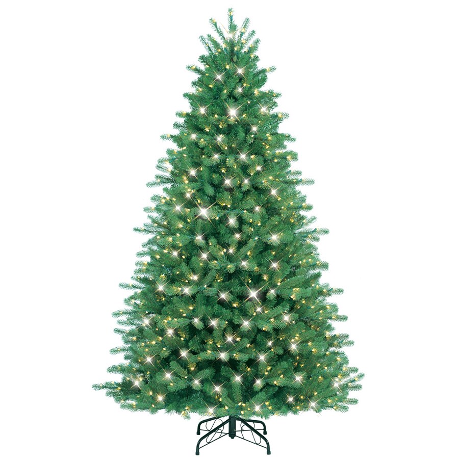 GE 18748LO 7-1/2' Just Cut Black Hills Fir Christmas Tree
