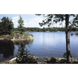 Lowes Wall Murals shop specialty wall decor at lowes Lowes Wall Murals shop specialty wall decor at lowes