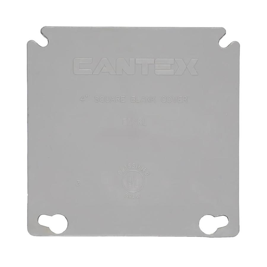 Cantex 2 Gang Rectangle Plastic Weatherproof Electrical Box Cover In