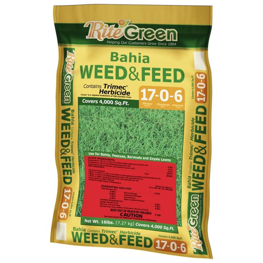 Shop Rite Green Bahia Weed and Feed 20lb Lawn Fertilizer (176) at