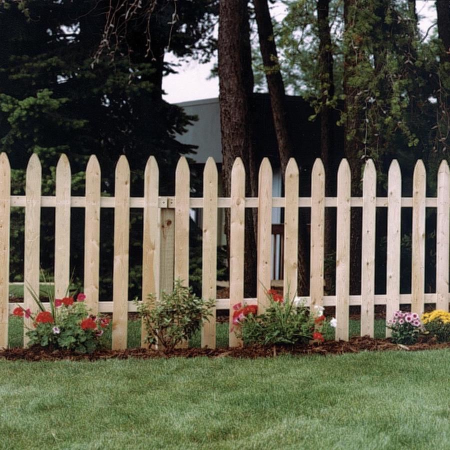 Severe Weather 3-ft H x 8-ft W Cedar French Gothic Fence Panel in the ...