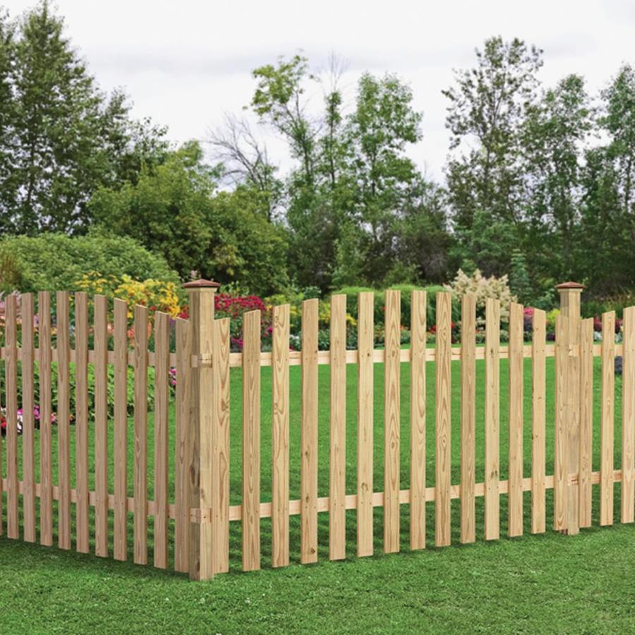 4-ft H x 8-ft W Pressure Treated Spruce Pine Fir Scallop Fence Panel in ...