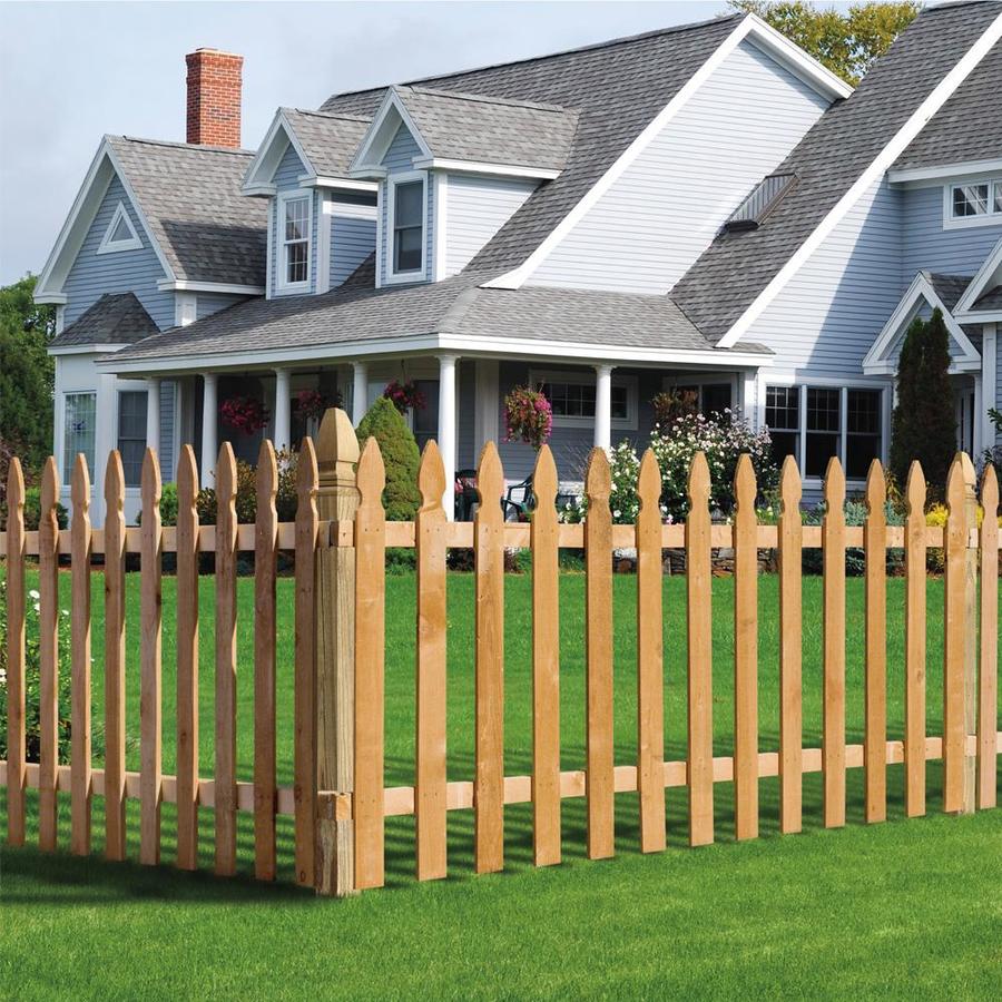 Severe Weather 5/8-in x 3-in W x 3.5-ft H Cedar French Gothic Fence ...