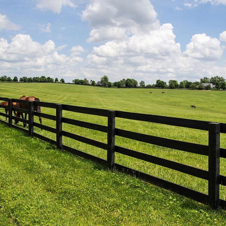 Outdoor Essentials 4in x 4 in x 8ft Black Painted Square Fence Post in
