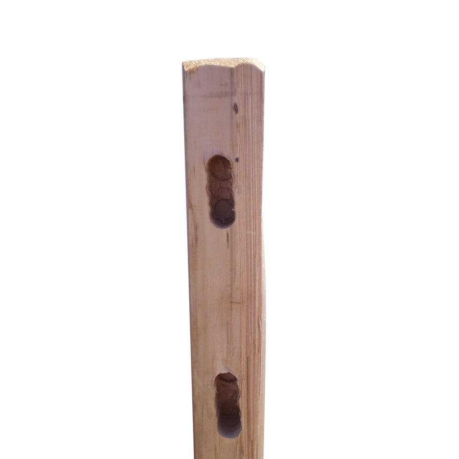  7234 6-in x 2-in x 6-ft Split-Rail Wood Fence End Post