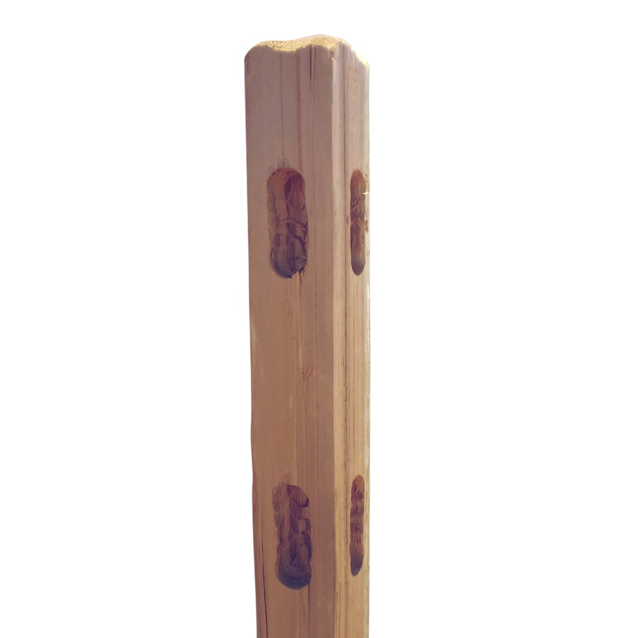 Shop Natural Western Red Cedar Fence Corner Post (Common: 4-in x 4-in x ...