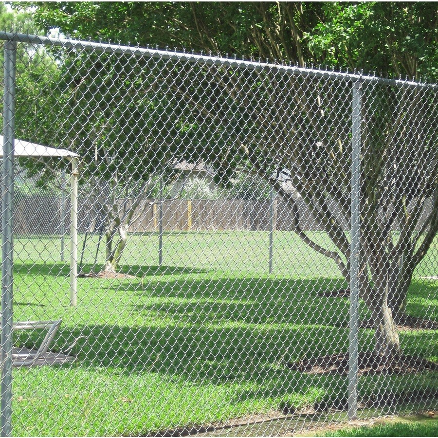 2.375-in x 10-ft Gray 15-Gauge Galvanized Steel Chain-Link Fence ...