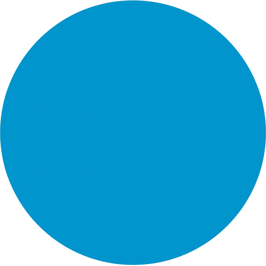 Image result for blue dot