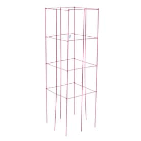 47-in Powder-Coated Galvanized Steel Wire Square Tomato Cage