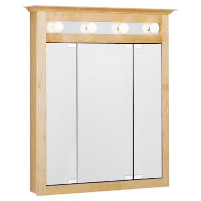 Estate By Rsi Surface Medicine Cabinet With Lights At Lowes Com