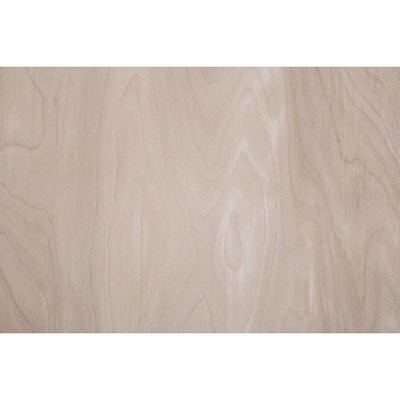 Top Choice 3 4 In Hpva Birch Plywood Application As 4 X 8 At