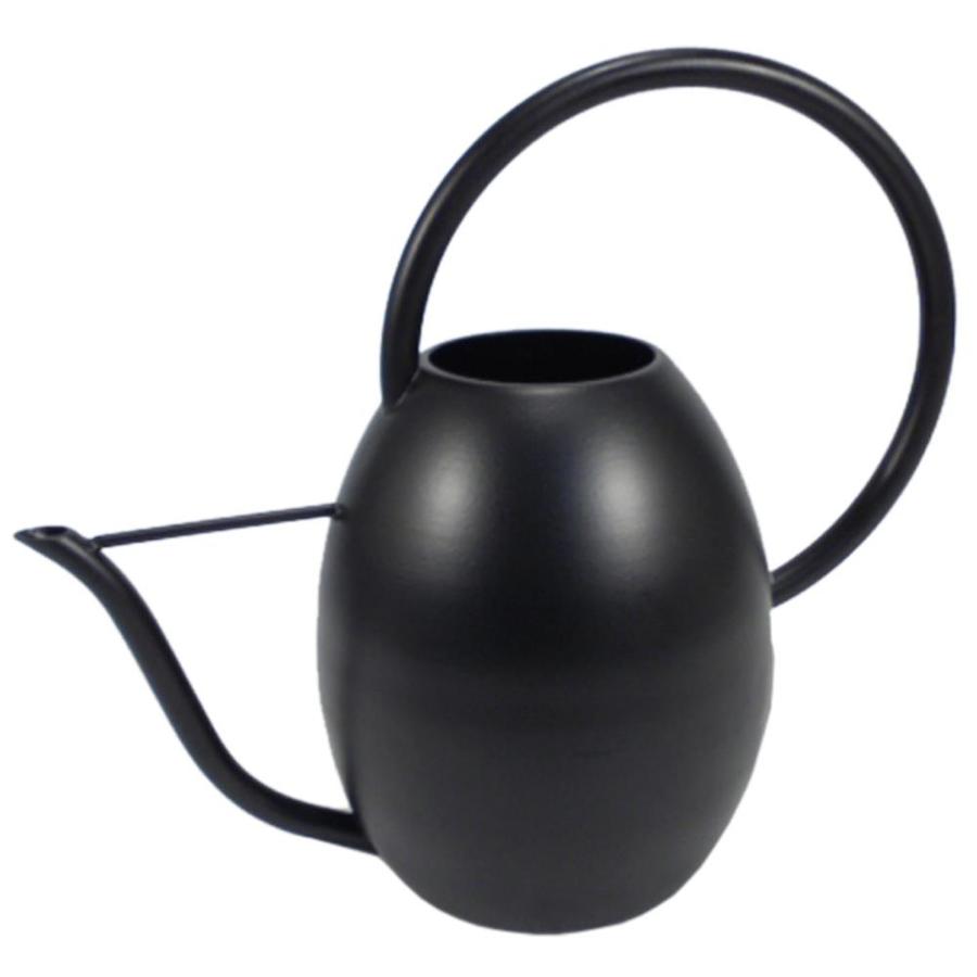 Allen + roth 0.6Gallon Black Metal Traditional Watering Can at