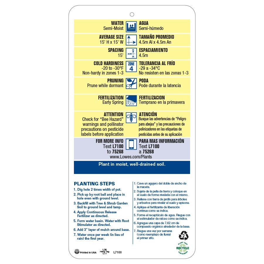  NURSERY trees - View #4