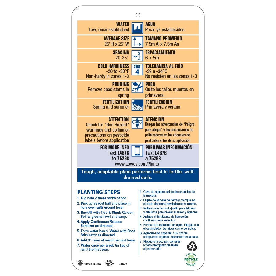  NURSERY trees - View #4