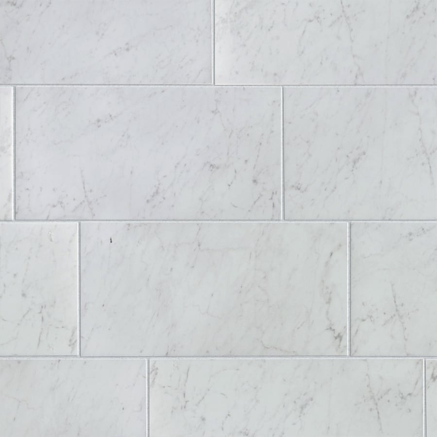 Style Selections Futuro White 12 In X 24 In Glazed Porcelain