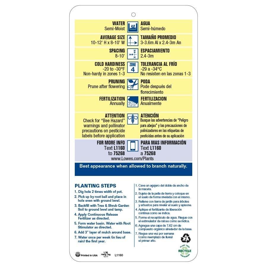  NURSERY trees - View #4